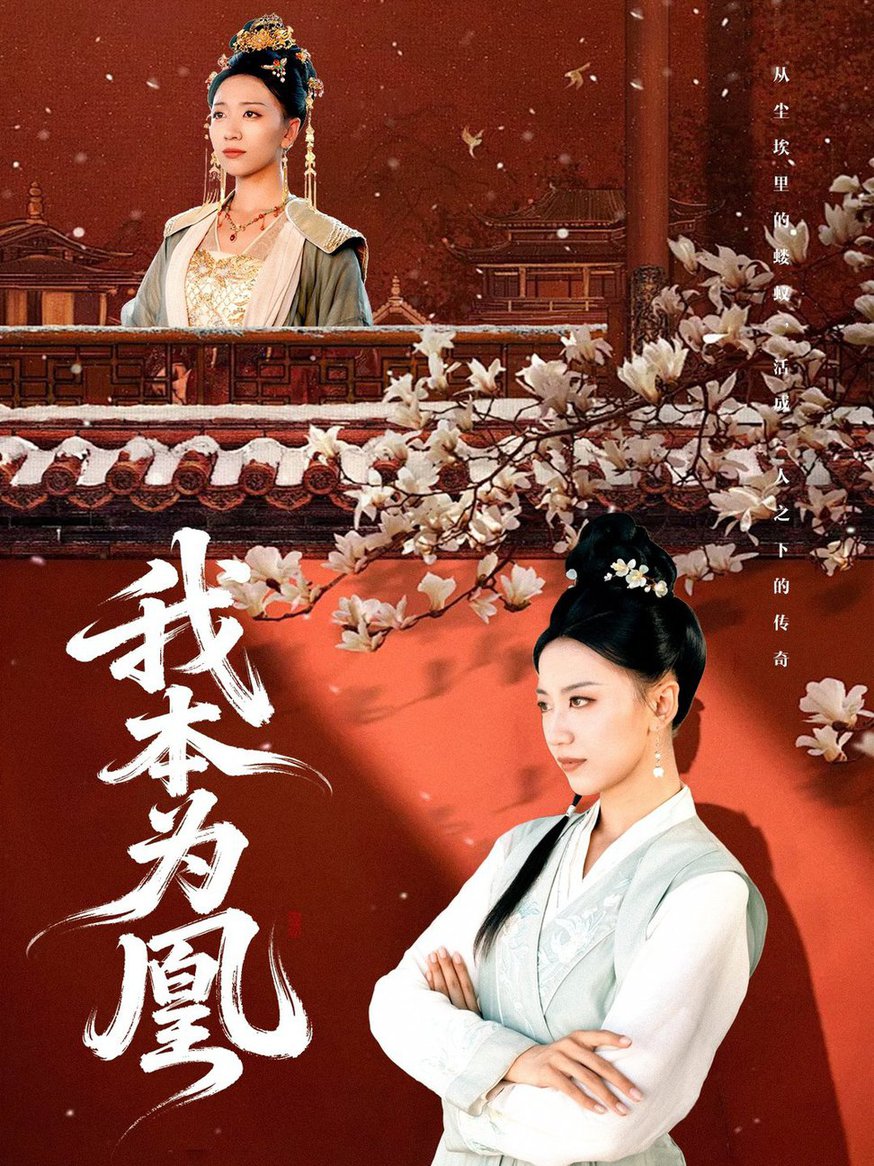 菜鸟老警第六季