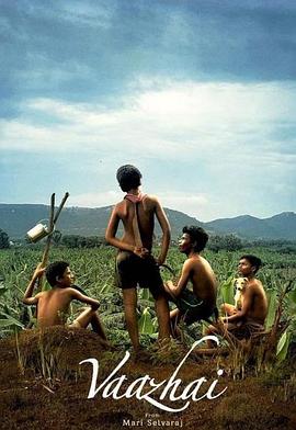 NBA步行者vs马刺20240304