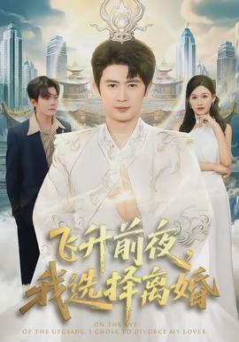 飞升前夜，我选择离婚
