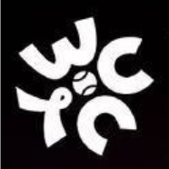 世界网球洲际对抗赛科博利0-2张之臻20251227