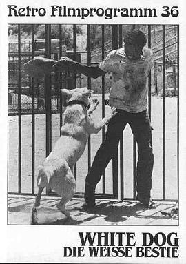 白狗【影视解说】