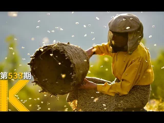 比灾难更可怕的，是人心。2020奥斯卡电影《蜂蜜之地》看电影了没