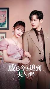 戚总还是太全面了戚总今天追到夫人了吗